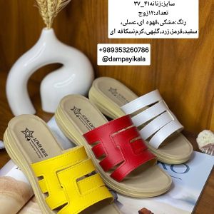 دمپایی زنانه طرحC803کد24769